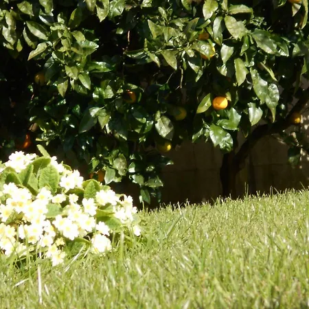 Casa Mar De Ardora Сasa de vacaciones A Coruña